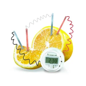 RELOJ ALIMENTADO POR LIMÓN 4M