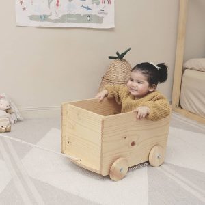 Caja de Juguetes