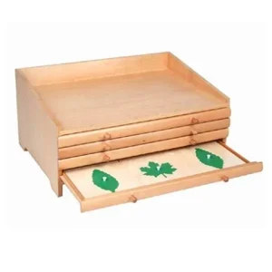 GABINETE DE BOTÁNICA 24 PIEZAS MONTESSORI