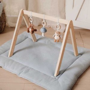 Baby Gym