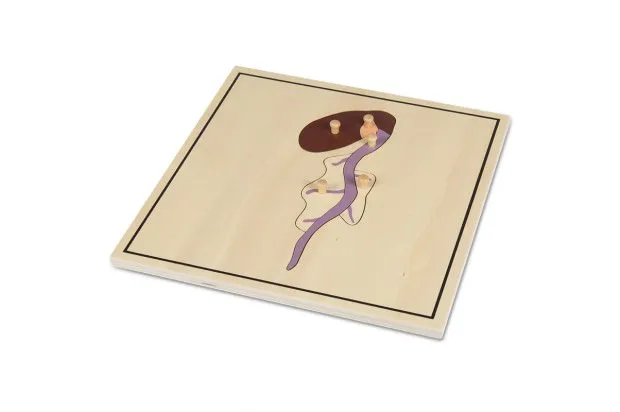 PROCESO DE LA SEMILLA 4 PUZZLES MONTESSORI - Imagen 3