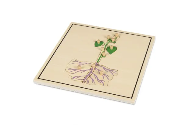 PROCESO DE LA SEMILLA 4 PUZZLES MONTESSORI - Imagen 5